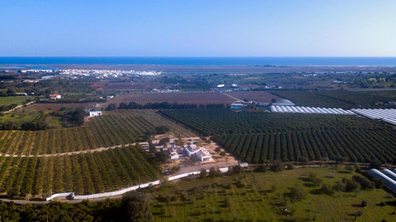 Quinta Da Pintassilga Villa Tavira Eksteriør billede